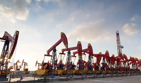 ������ƹ�