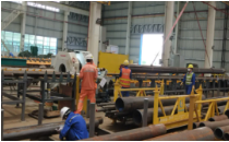 w66���ʡ�����(�й�)�����������